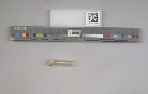 NSF ADBC EPICC TCN