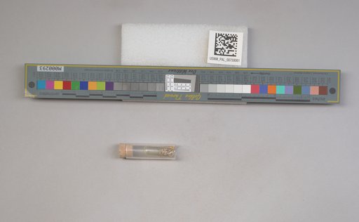 NSF ADBC EPICC TCN