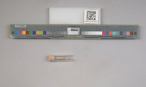 NSF ADBC EPICC TCN