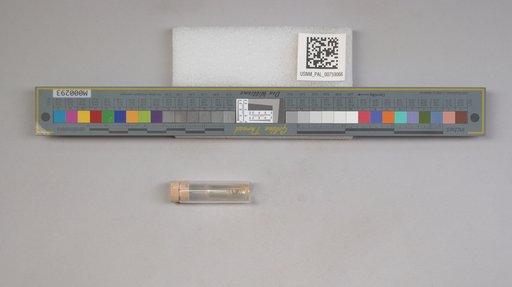 NSF ADBC EPICC TCN