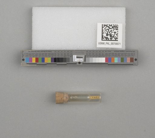 NSF ADBC EPICC TCN