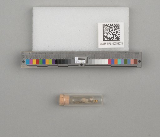 NSF ADBC EPICC TCN