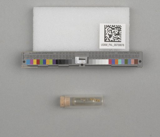 NSF ADBC EPICC TCN