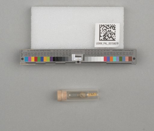 NSF ADBC EPICC TCN