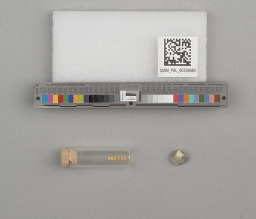 NSF ADBC EPICC TCN
