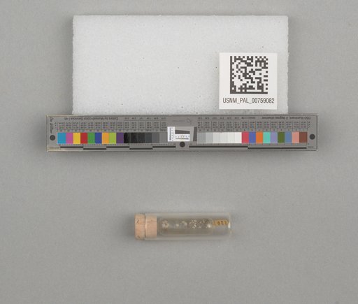 NSF ADBC EPICC TCN