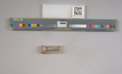 NSF ADBC EPICC TCN