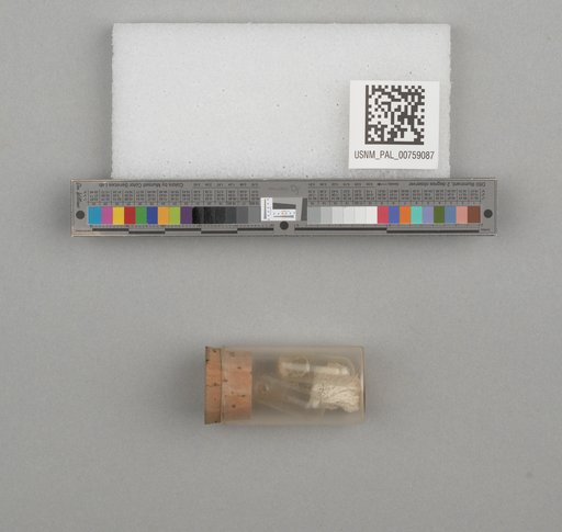 NSF ADBC EPICC TCN