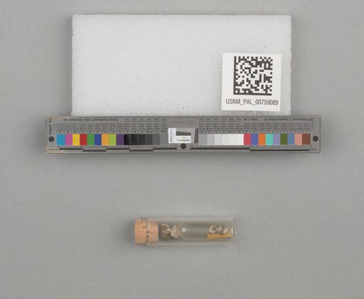 NSF ADBC EPICC TCN
