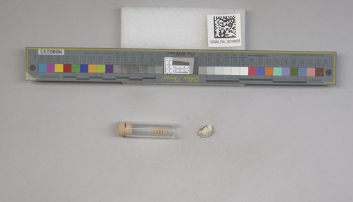 NSF ADBC EPICC TCN