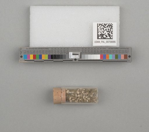 NSF ADBC EPICC TCN