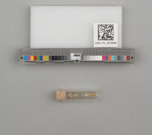 NSF ADBC EPICC TCN