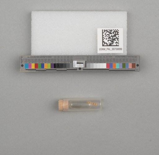 NSF ADBC EPICC TCN
