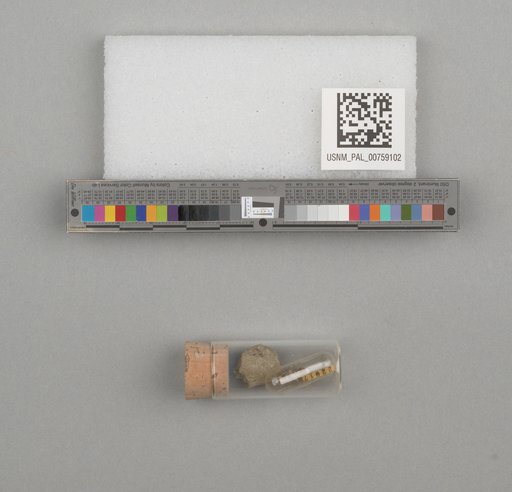 NSF ADBC EPICC TCN