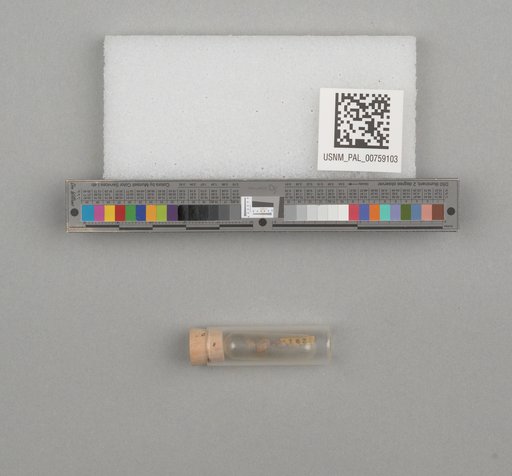 NSF ADBC EPICC TCN