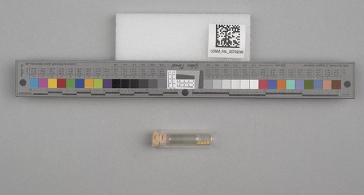NSF ADBC EPICC TCN