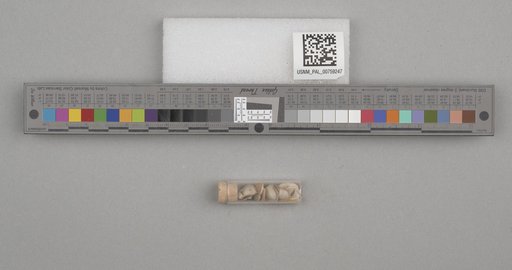 NSF ADBC EPICC TCN