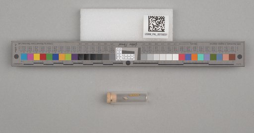 NSF ADBC EPICC TCN