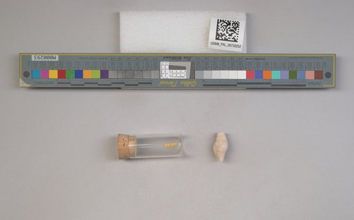 NSF ADBC EPICC TCN