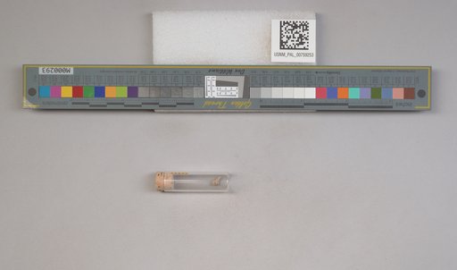 NSF ADBC EPICC TCN