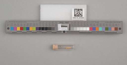 NSF ADBC EPICC TCN