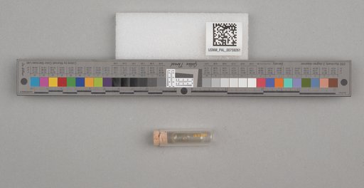 NSF ADBC EPICC TCN