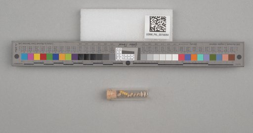 NSF ADBC EPICC TCN