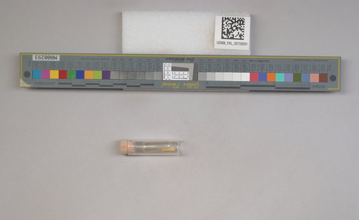 NSF ADBC EPICC TCN