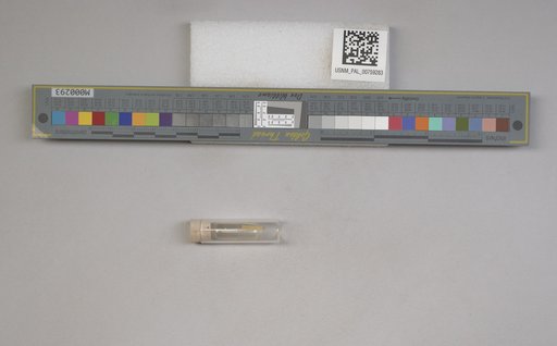NSF ADBC EPICC TCN