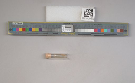 NSF ADBC EPICC TCN