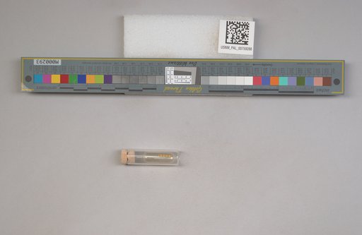 NSF ADBC EPICC TCN