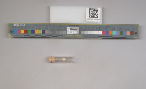 NSF ADBC EPICC TCN
