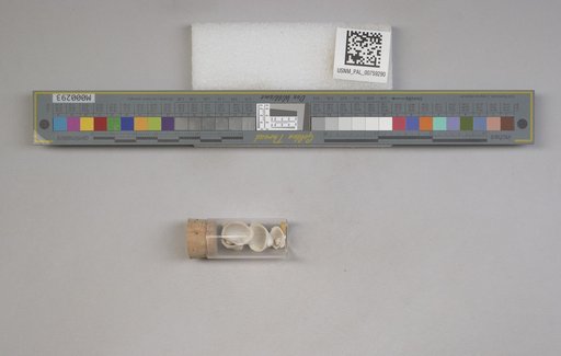 NSF ADBC EPICC TCN