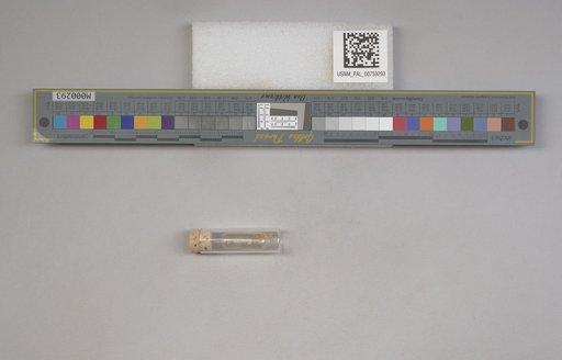 NSF ADBC EPICC TCN