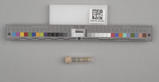 NSF ADBC EPICC TCN