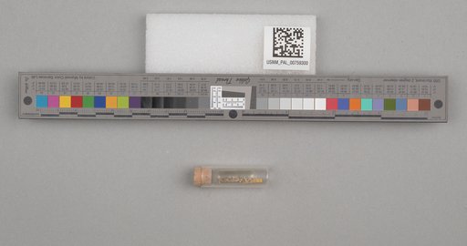 NSF ADBC EPICC TCN