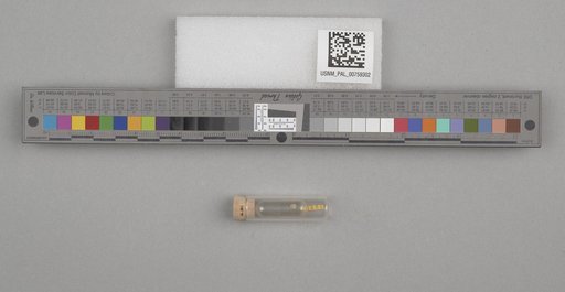 NSF ADBC EPICC TCN