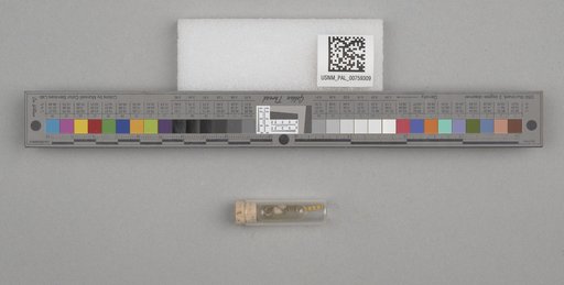 NSF ADBC EPICC TCN