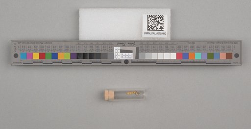 NSF ADBC EPICC TCN
