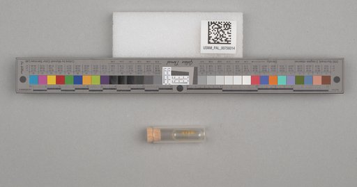 NSF ADBC EPICC TCN