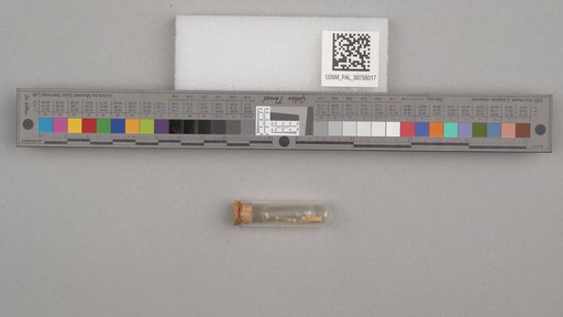 NSF ADBC EPICC TCN