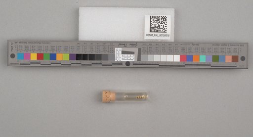 NSF ADBC EPICC TCN