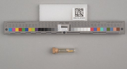 NSF ADBC EPICC TCN