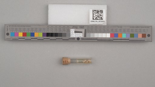 NSF ADBC EPICC TCN