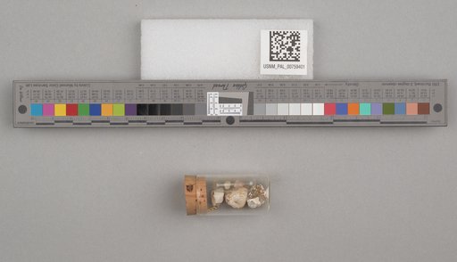 NSF ADBC EPICC TCN