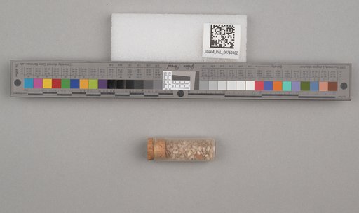 NSF ADBC EPICC TCN