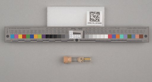 NSF ADBC EPICC TCN