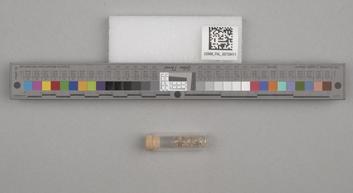 NSF ADBC EPICC TCN