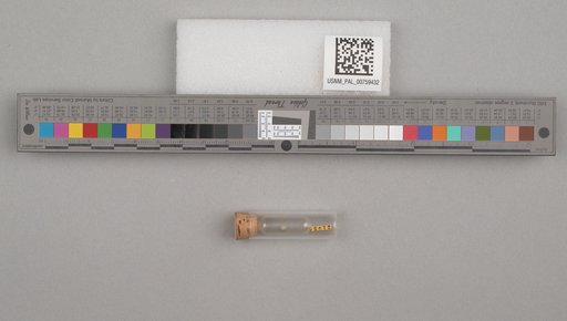 NSF ADBC EPICC TCN