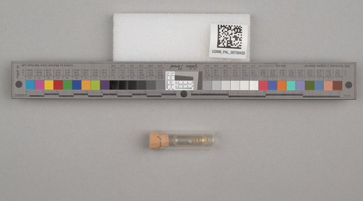 NSF ADBC EPICC TCN